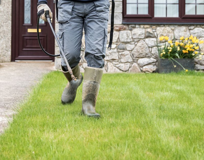 Landscaping Design Service